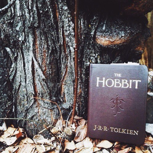 tolkin lotr silmarillion the lord of the rings the hobbit hobbit tolkin aesthetic lotr aesthetic aesthtic tea forest comfort book