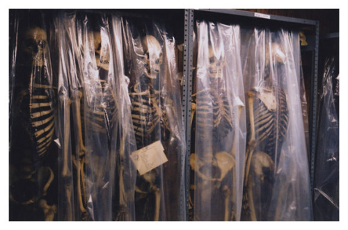 theoddcollection:Skeletons in storage at the Mütter Museum in...