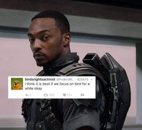 bert-and-ernie-are-gay:Sam Wilson x @ ProBirdRights...