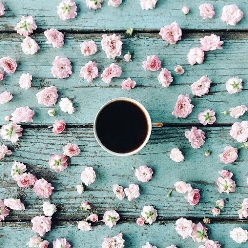black coffee pretty flowers coffee spring Easter black flowers floral pink pastel pink Rose roses wood vintage rustic background we heart it pastel grunge hipster