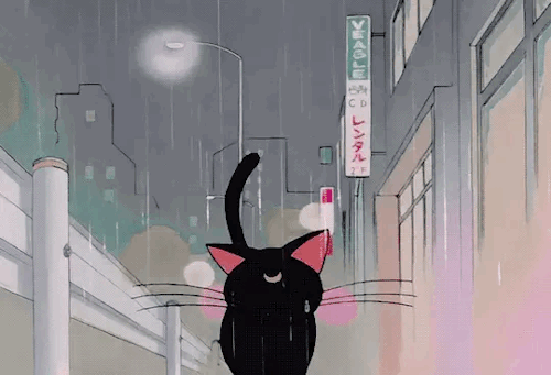 rain-aesthetic | Tumblr