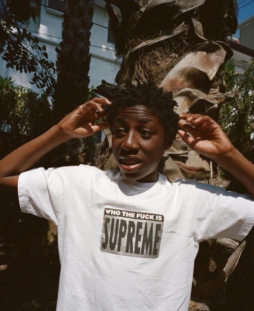 theclassyissue:Supreme spring tees