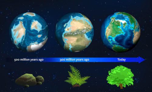 scinewscom:Earth’s Natural History May Serve as Guide for...