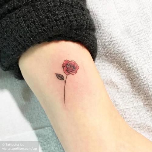 By Tattooist Up, done in Seoul. http://ttoo.co/p/32223 flower;small;inner arm;rose;up;facebook;nature;twitter;illustrative