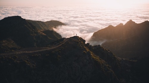 bokehm0n:Fall in love with the landscape of Madeira.