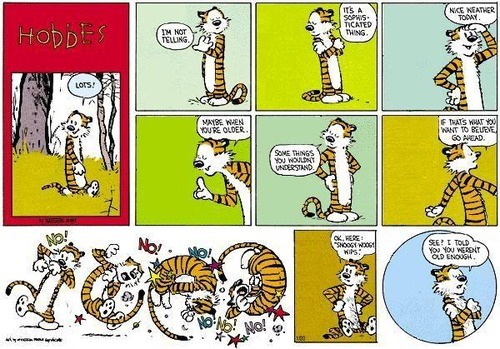 A 10-panel Sunday strip.
Panel 1: The title of the strip, 'Hobbes' by WATTERSON. Hobbes, strolling through the woods, says 'LOTS!'.
Panel 2: Hobbes says 'I'M NOT TELLING.'
Panel 3: Hobbes says 'IT'S A SOPHISTICATED THING.'
Panel 4: Hobbes says 'NICE WEATHER TODAY.'
Panel 5: Hobbes says 'MAYBE WHEN YOU'RE OLDER.'
Panel 6: Hobbes says 'SOME THINGS YOU WOULDN'T UNDERSTAND.'
Panel 7: Hobbes says 'IF THAT'S WHAT YOU WANT TO BELIEVE, GO AHEAD.'
Panel 8: A montage of Hobbes wrestling with thin air, shouting 'NO!', 'NO!', 'NO!', 'NO!', 'NO!', and 'NO!'.
Panel 9: Hobbes, dishevelled from his grapple with nothing, says 'OK, HERE: 'SNOOGY WOOGY WIPS.''
Panel 10: Hobbes says 'SEE? I TOLD YOU YOU WEREN'T OLD ENOUGH.'