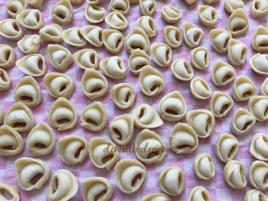 TORTELLINI – Denise Ippolito