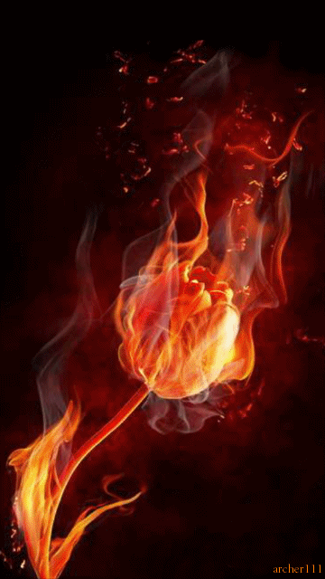 Image result for gif Red Rose on fire gif