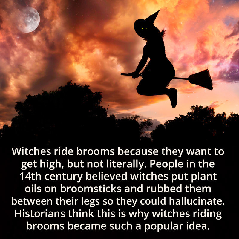 Weird Facts — Witches Ride Brooms Because They Want To Get High