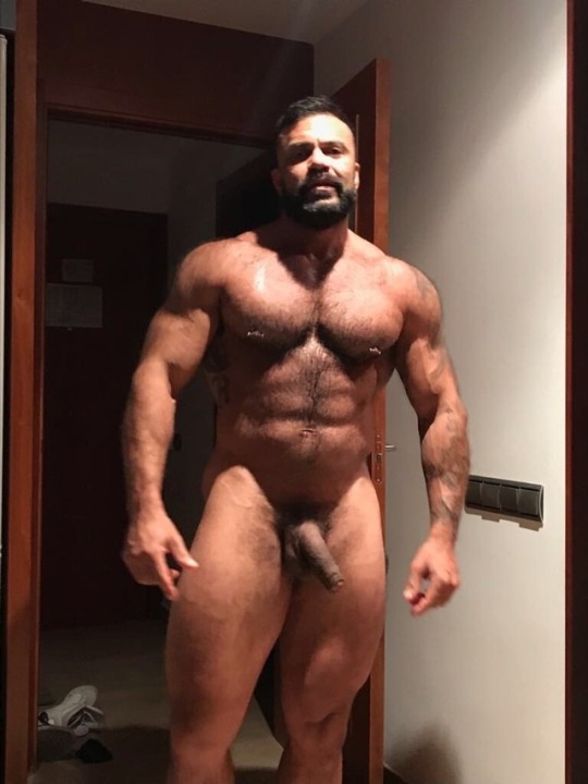 Musclebear Tumblr Tumbex