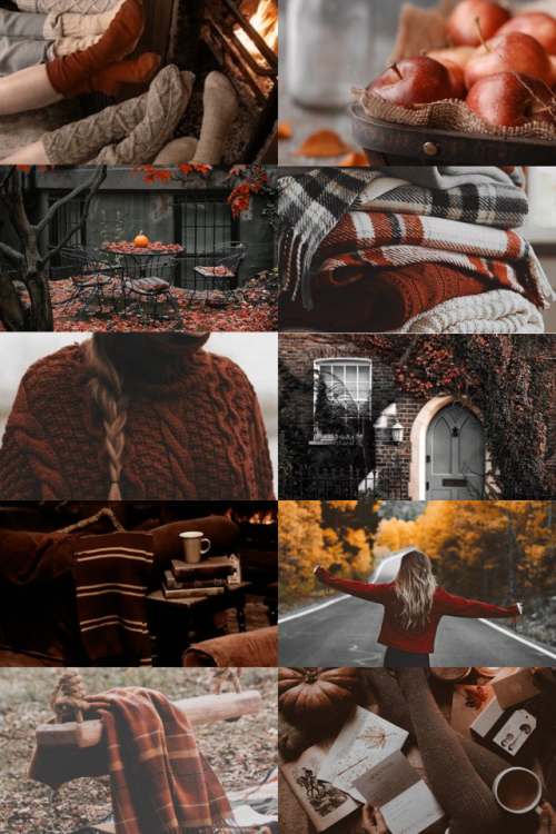 skcgsra:gryffindor’s autumn