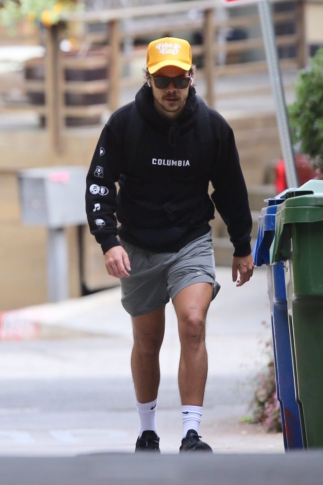 Harry on a hike in LA yesterday - March 31