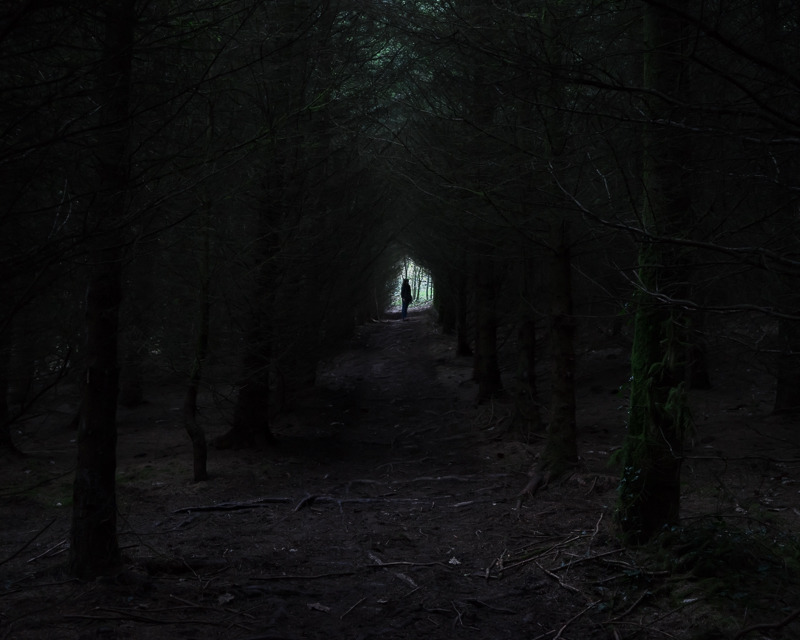 Лес ночью ужас. Страшный лес ночью настоящий. Тёмный лес страшилка.