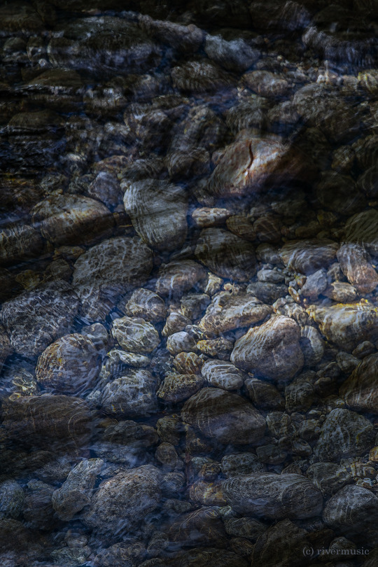 Synthesis: (c) riverwindphotography, March 2020