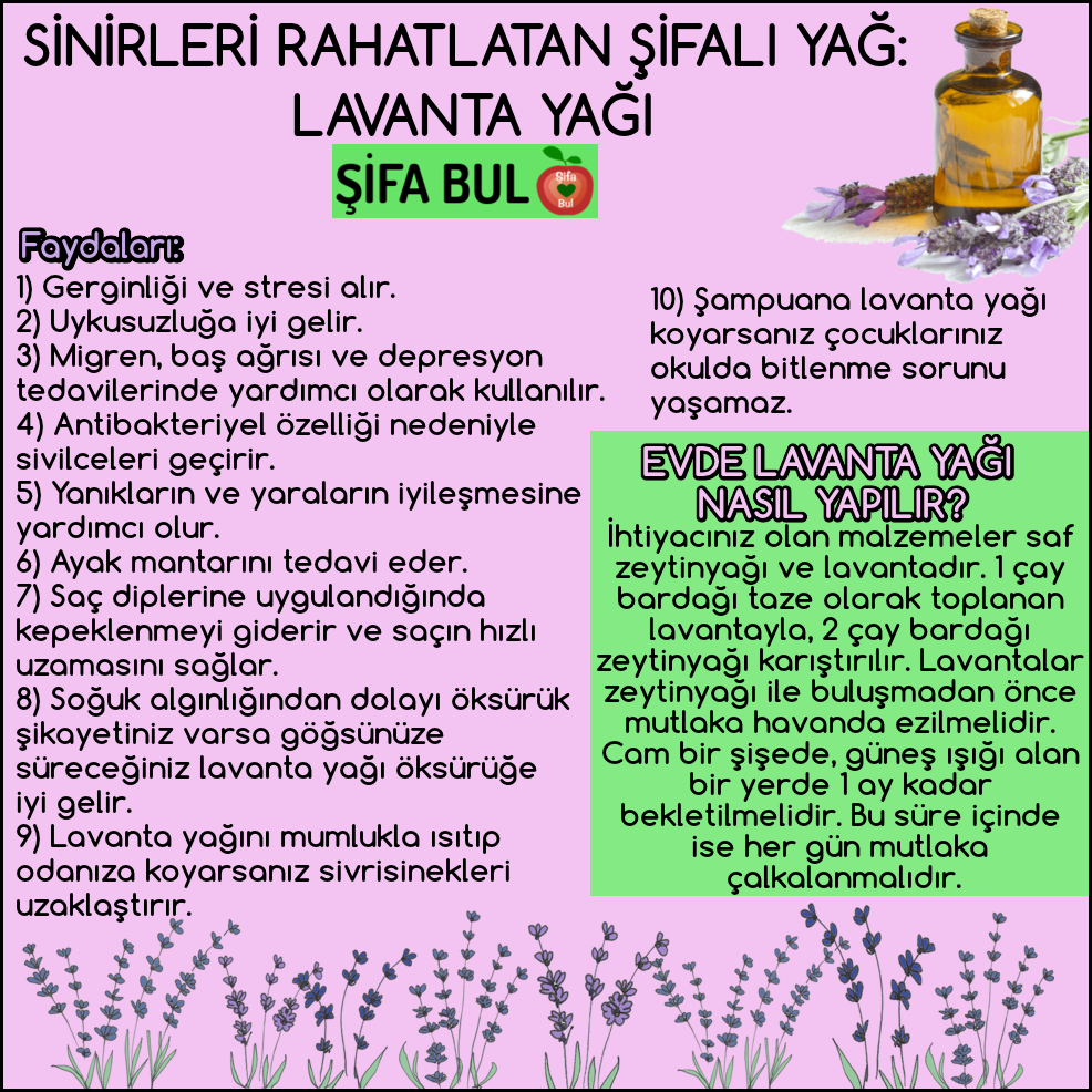 Lavanta yağının faydaları nelerdir Lavanta yağının faydaları nelerdir