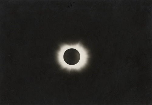 dame-de-pique:Flint Island solar eclipse, 1908also