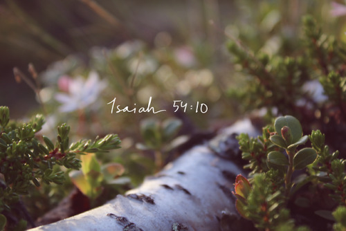 faith-is-the-adventure:isaiah 54:10