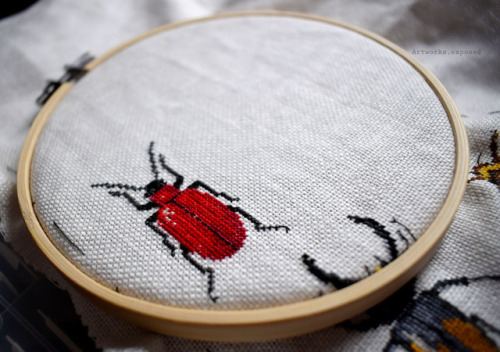 meldemeuleneire:Big bug cross stitch project; part 2.