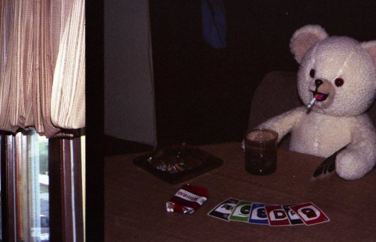 My dad gave me a USB drive with hundreds of pictures he has taken since the 70′s. This picture of the Snuggle bear playing UNO...