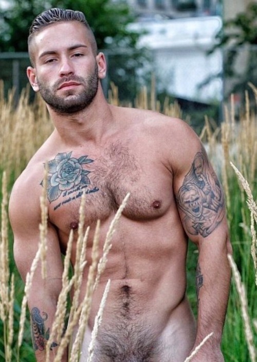 tantalizing-torsos:Tantalizing Torsos!  (many with VPL) &...