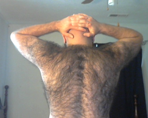 # hairy and horny et pour les BEARS et seux qui les aiment!