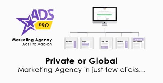 Ads Pro Add-on v1.9.2 - WordPress Marketing Agency Nulled