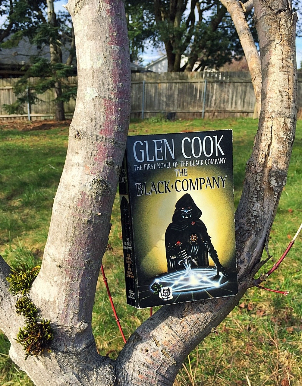 glen cook books of the south