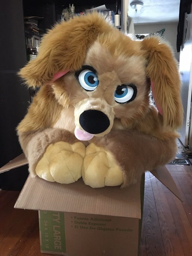 smile dog plush