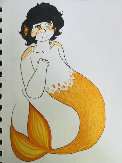 wolfiereblog:Hi, its mermay so I decided to finally do a thing