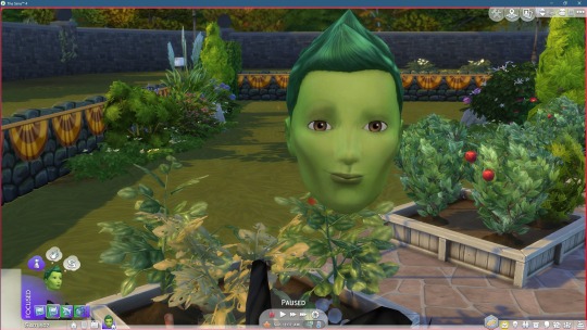 Plant Sims Tumblr