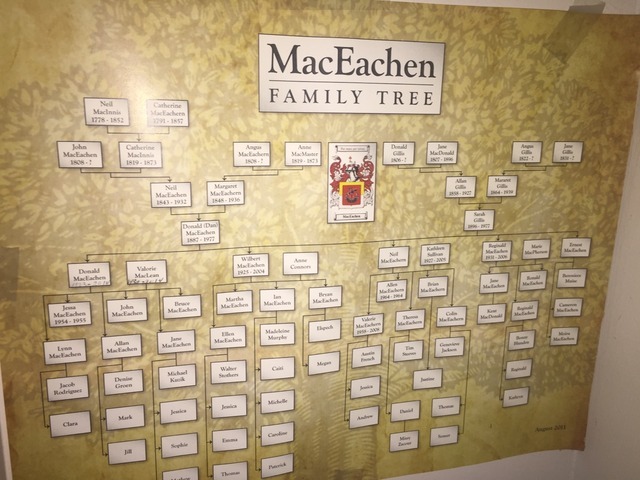 Greer's pet blog | my gran has a family tree at her place & it turns...