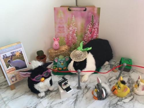 furby-revolutionary