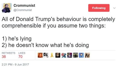 rafi-dangelo:I love this thread because Trump is obviously a...