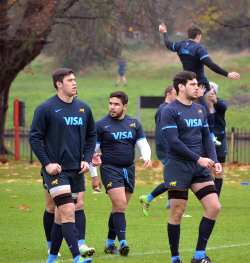 roscoe66:Argentina Rugby hotties