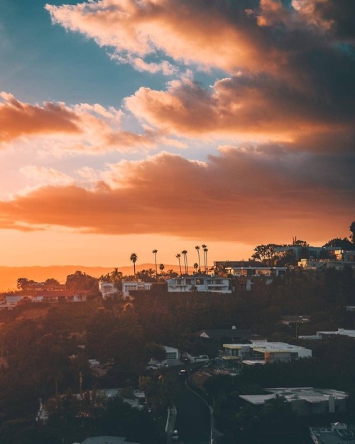 itscaliforniafeelings:Hollywood, California by Jesse Sandoval