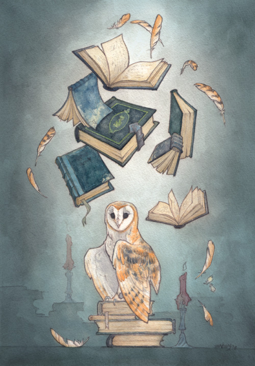 owl watercolour tumblr