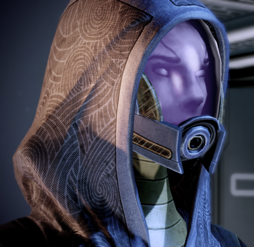 Tali Dava