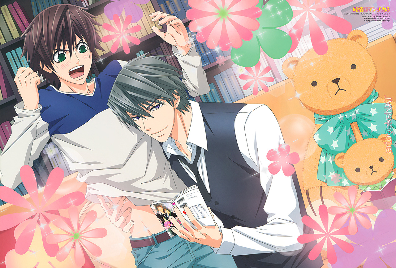 Junjou romantica 3