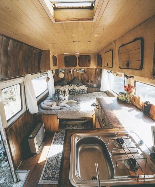 weheartit weheartit.com camping camper van husky Siberian husky road trip travel explore escape adventure free freedom wanderlust paradise discover journey world see the world peace peaceful relax relaxing