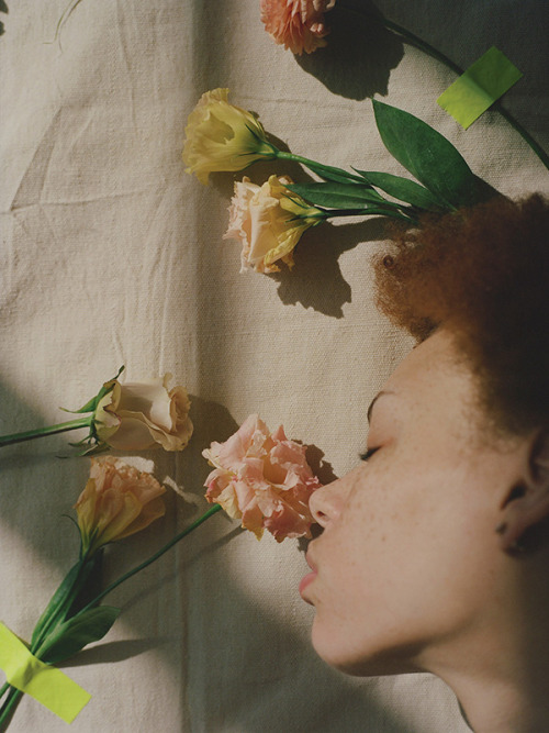 flowers document journal 12 stef mitchell