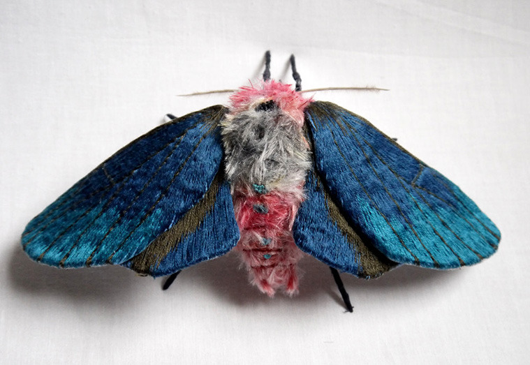 Art & Science Journal — Art of the Lepidoptera Moths and fabric ...