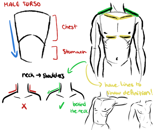 How To Draw Torso And Arms