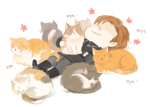 mist-justatrash:hux and cats