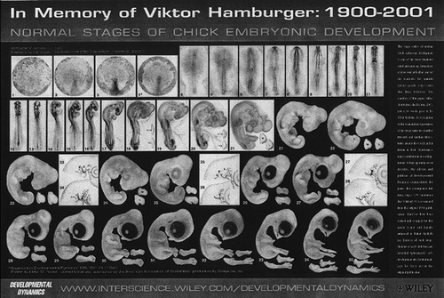 chimera biology