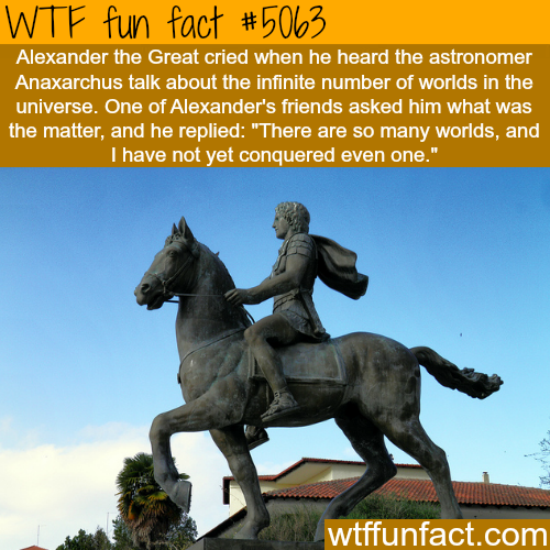 Alexander The Great Facts WTF Fun Facts   Tumblr O0c6vzcTlA1roqv59o1 500 