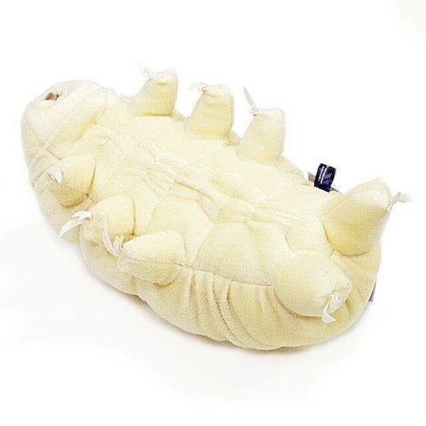 plush isopod