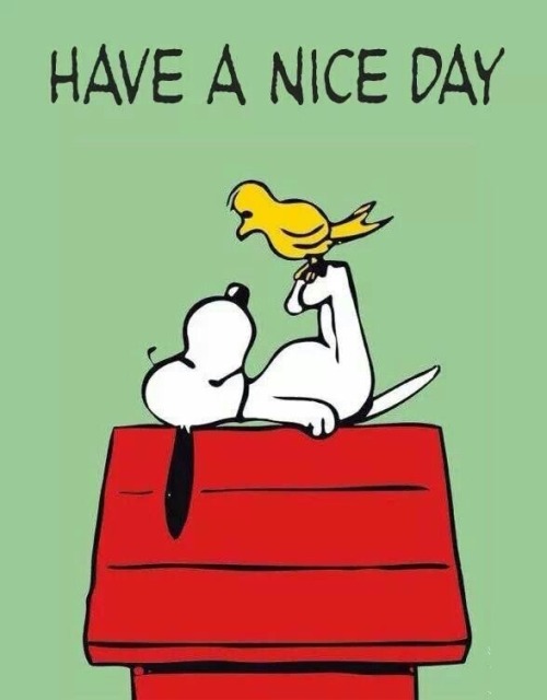 Have a Nice Day | Snoopy quotes, Snoopy love, Snoopy funny