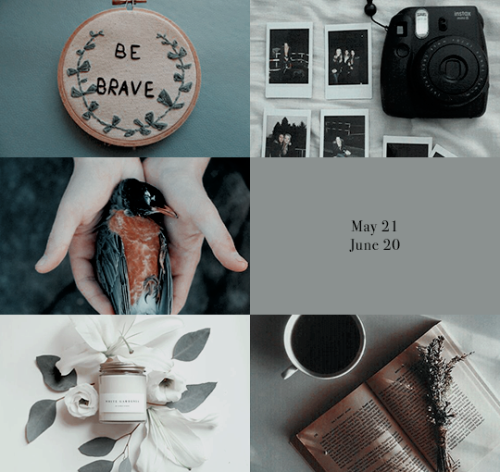 ibuzoo:1000 Picspams Challenge | #458Zodiac Aesthetics | Gemini