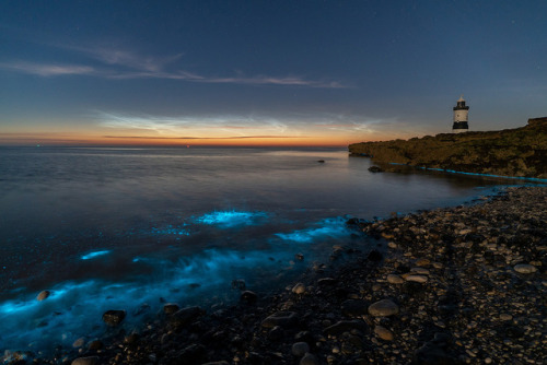 te5seract:‘A Splash Of Light’ - Penmon,...