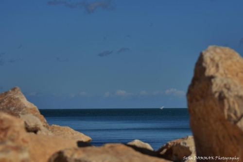 « L’horizon est dans les yeux et non dans la réalité » Angel...